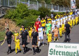 VFC Plauen FC Carl Zeiss Jena 24082024 01